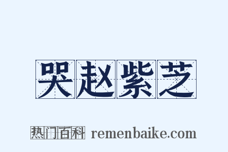 哭赵紫芝是什么意思的图片